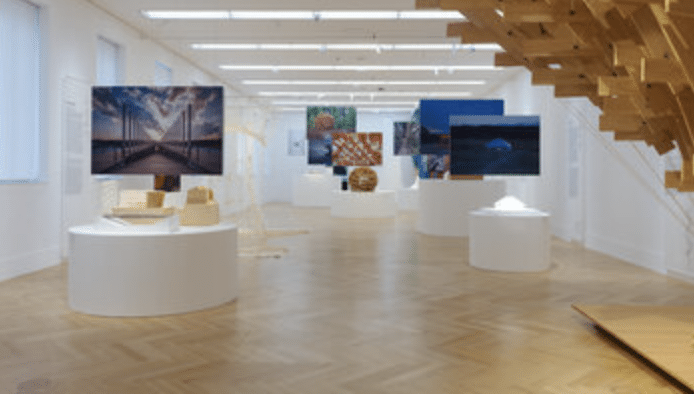 Baukunst-Kengo Kuma: Ausstellung in der Bundeskunsthalle Bonn